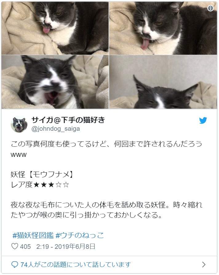 圖片13 圖片13