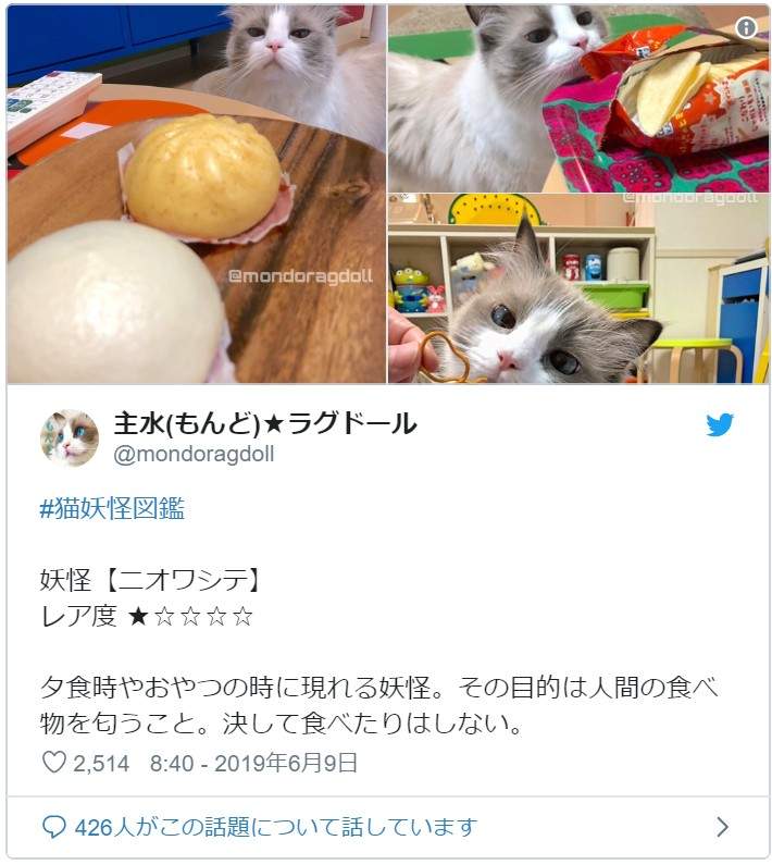 圖片8 圖片8
