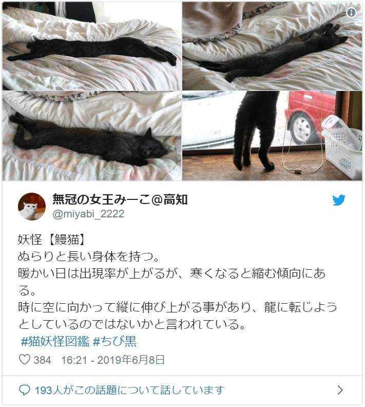 圖片10 圖片10