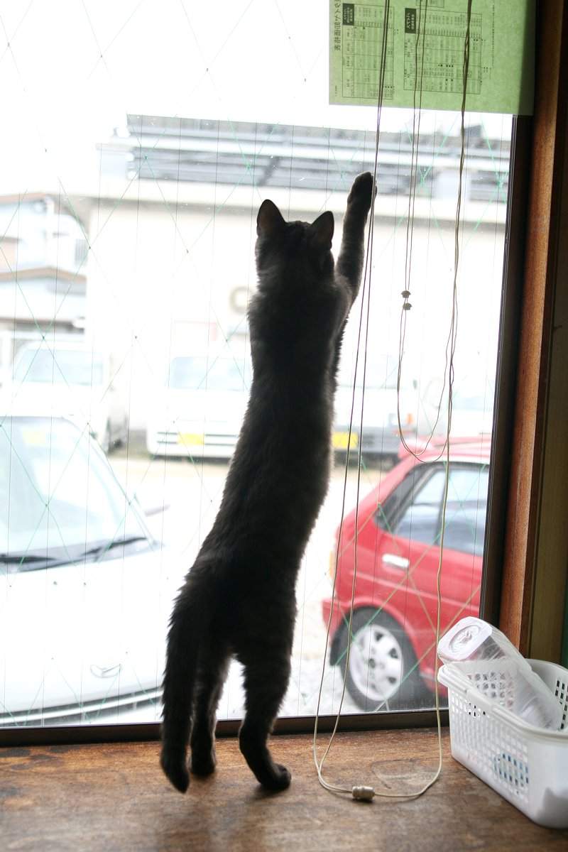 圖片12 圖片12