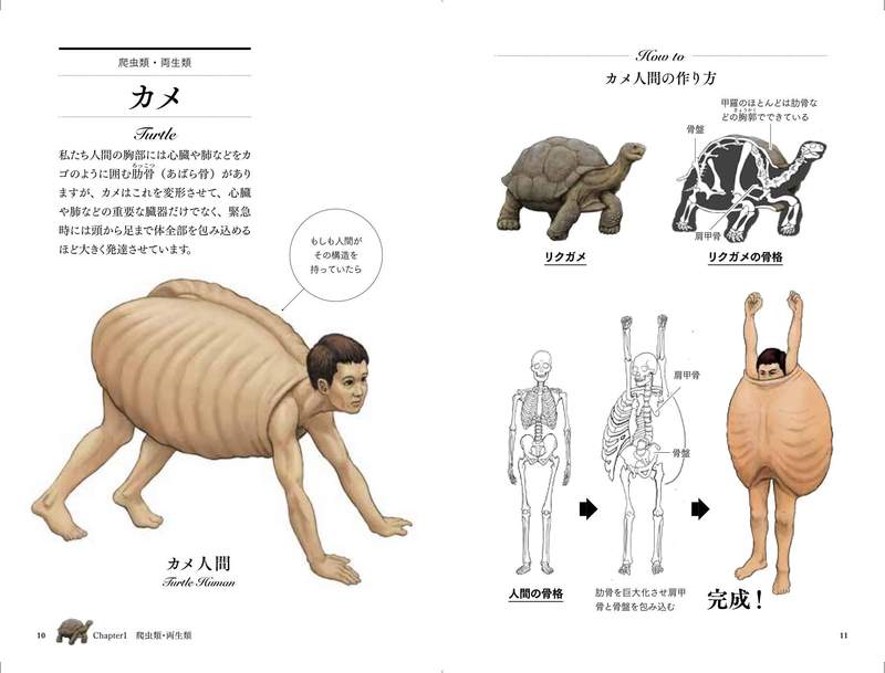 圖片4 圖片4