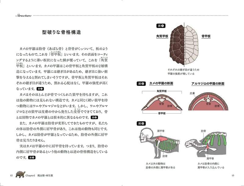 圖片5 圖片5