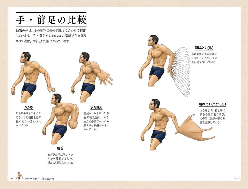 圖片10 圖片10