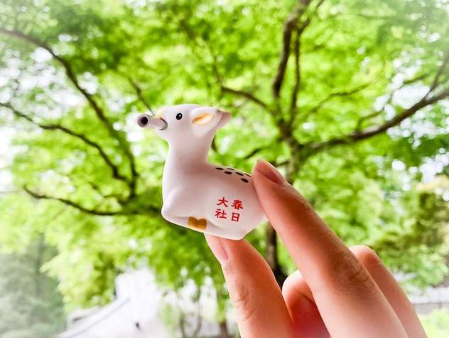 圖片6 圖片6