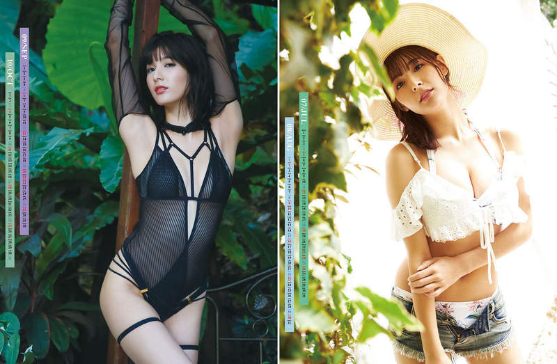 圖片12 圖片12