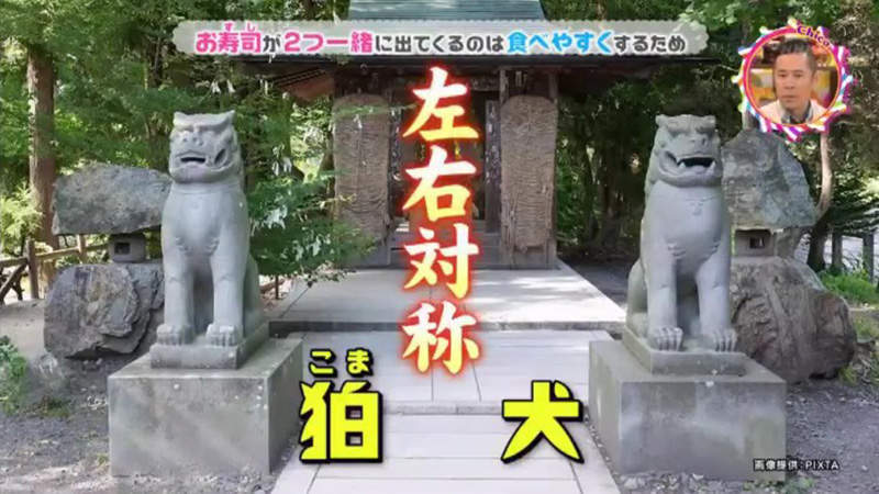 圖片11 圖片11