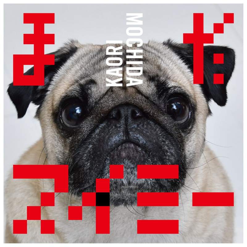 圖片8 圖片8