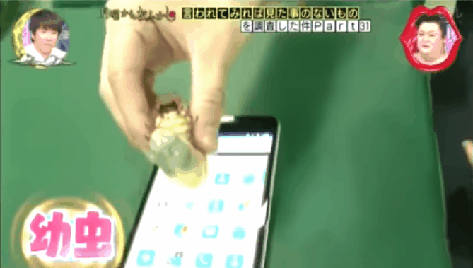 圖片11 圖片11
