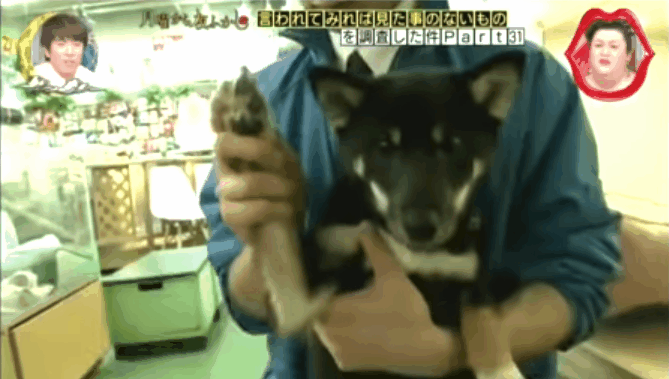 圖片5 圖片5