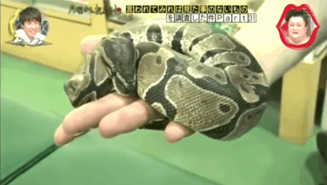 圖片8 圖片8