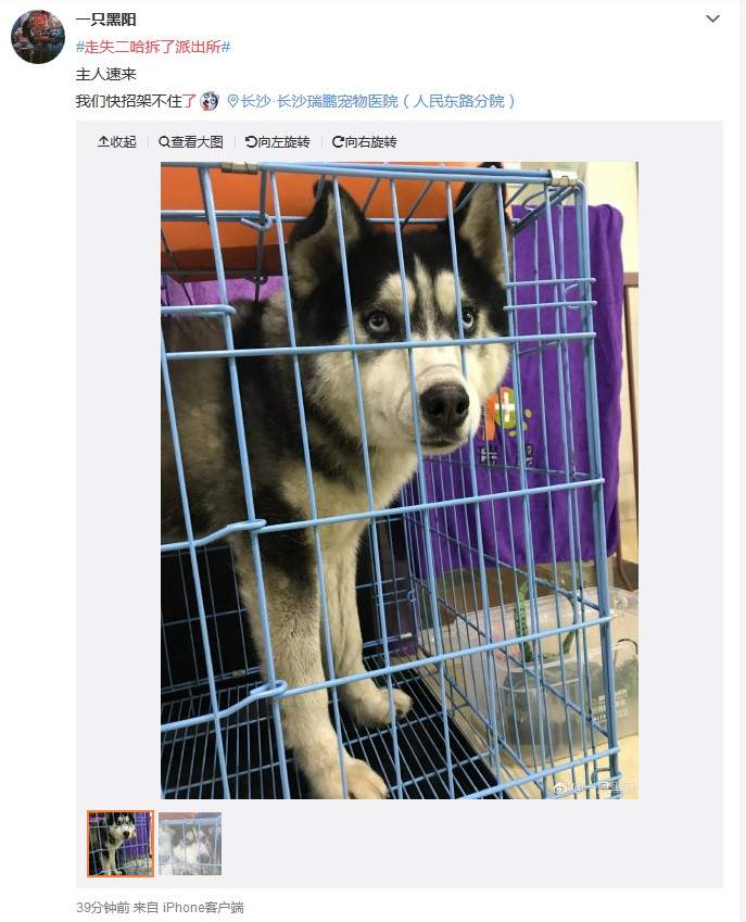 圖片9 圖片9