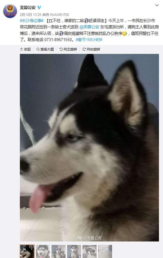 圖片6 圖片6