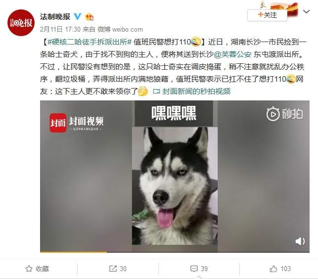 圖片8 圖片8