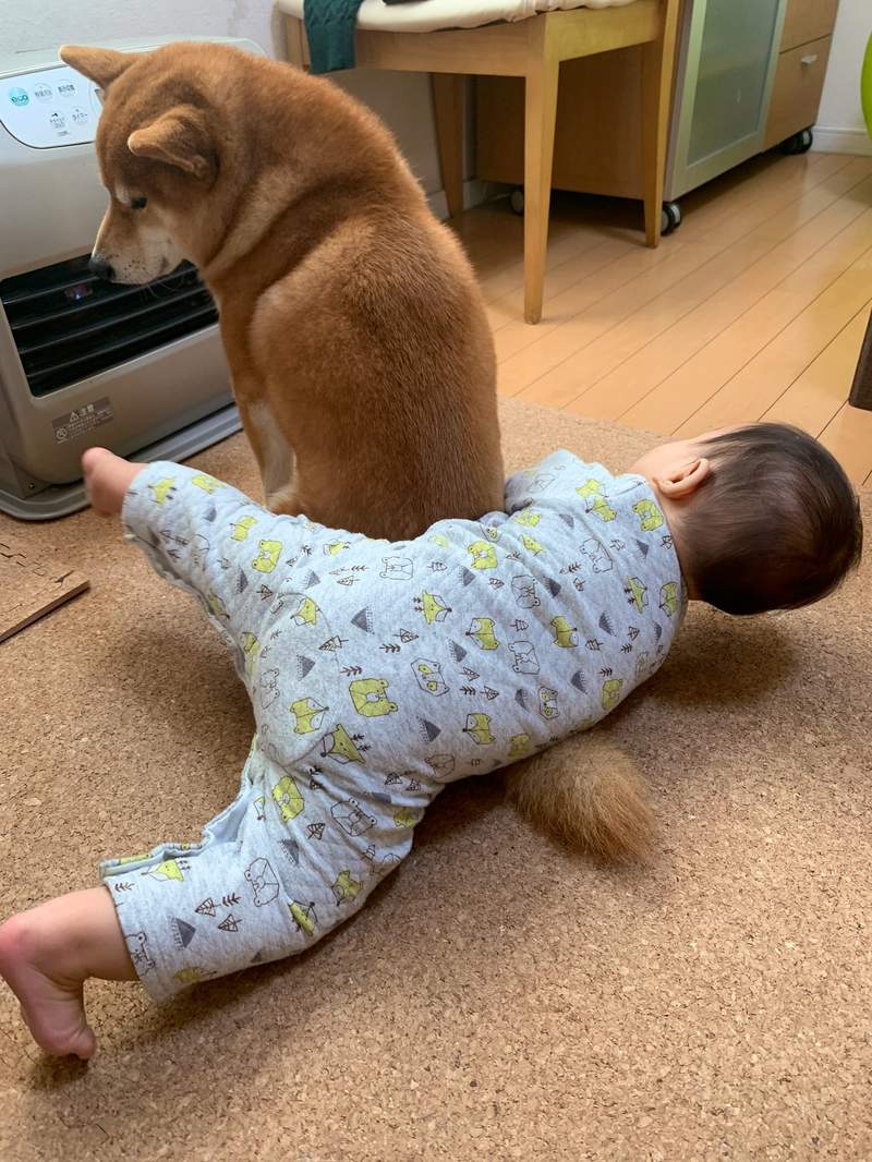 圖片6 圖片6