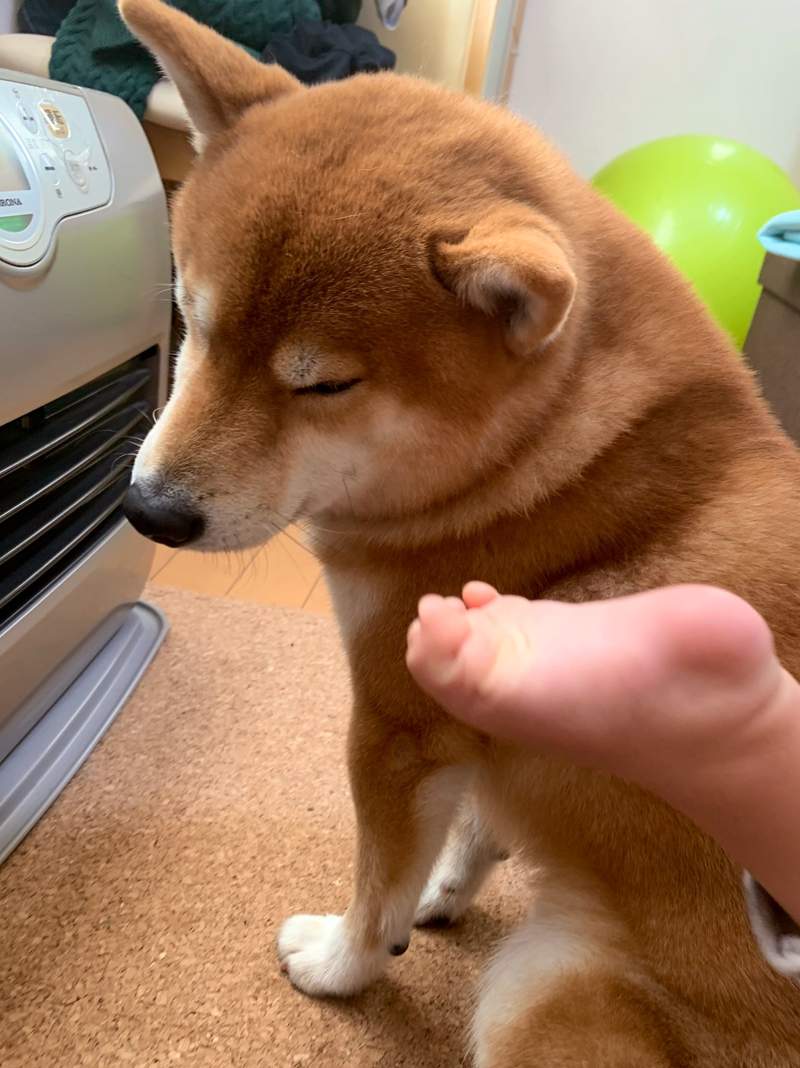 圖片7 圖片7