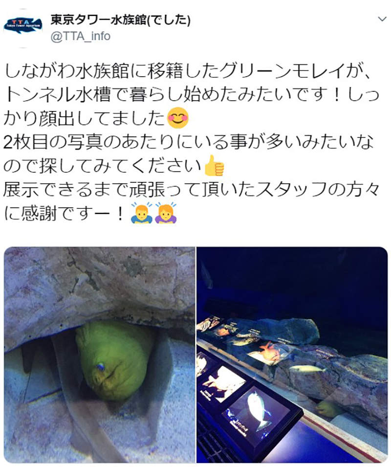 圖片10 圖片10