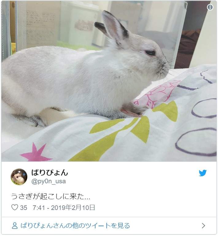 圖片4 圖片4