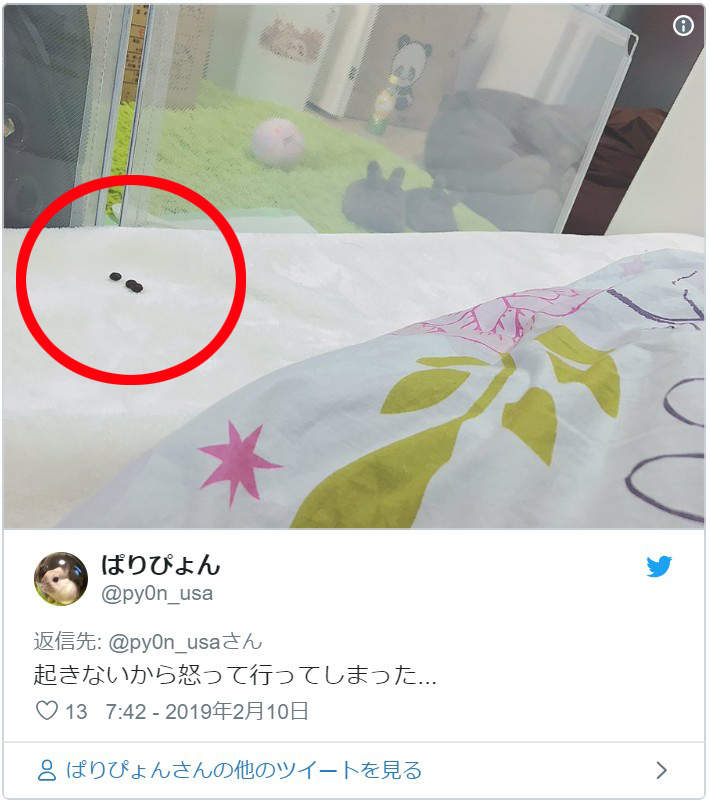 圖片5 圖片5