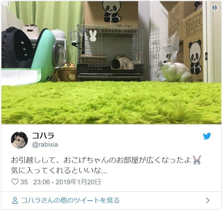 圖片7 圖片7