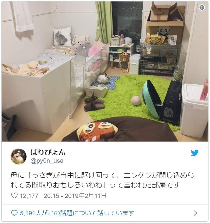 圖片6 圖片6