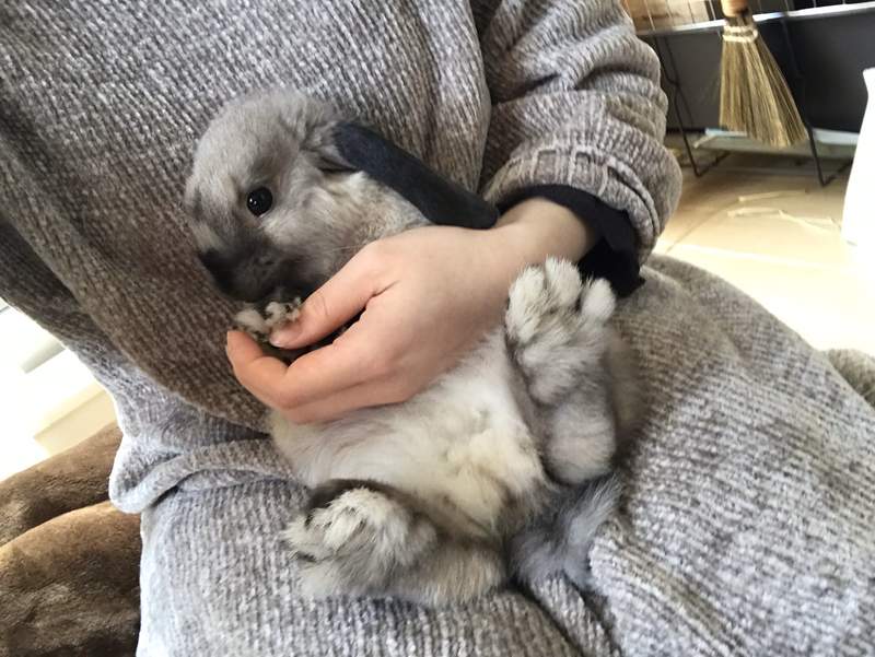 圖片7 圖片7