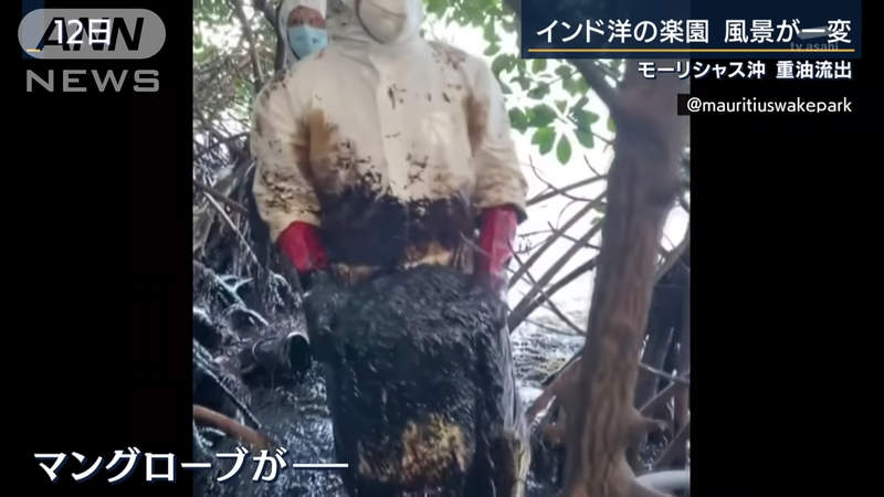 圖片7 圖片7