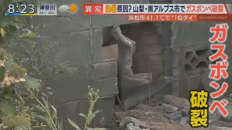 圖片7 圖片7