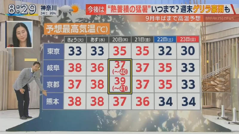 圖片12 圖片12