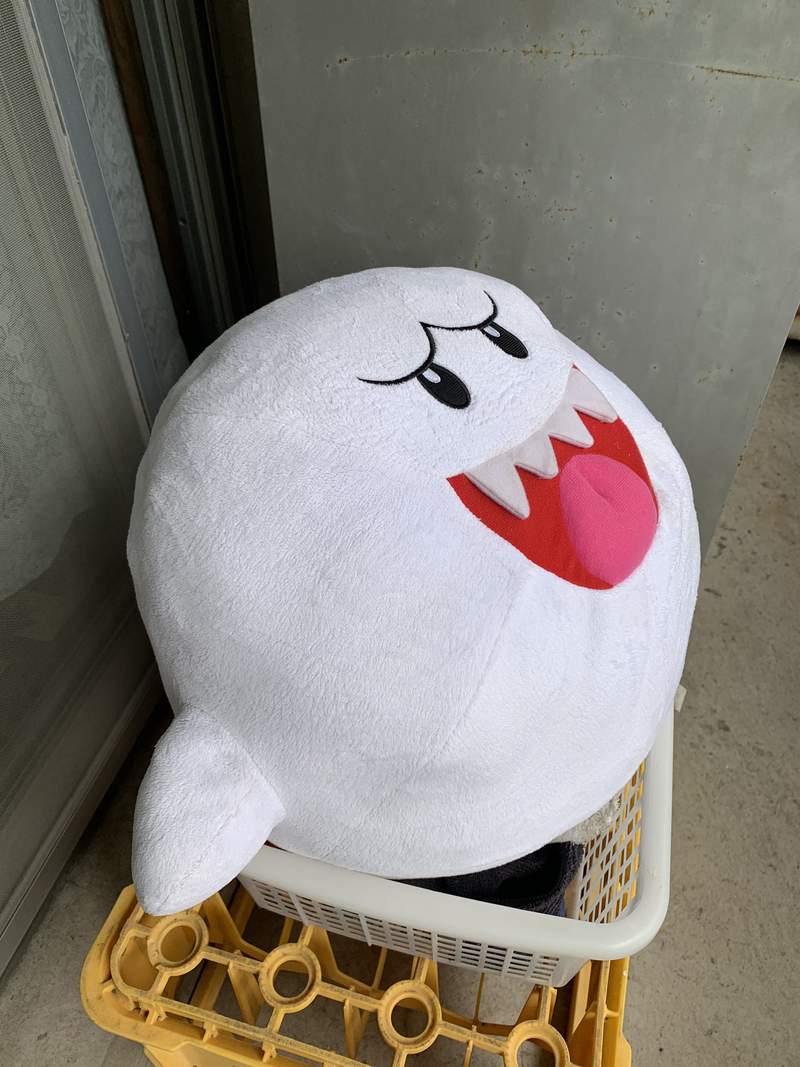 圖片7 圖片7