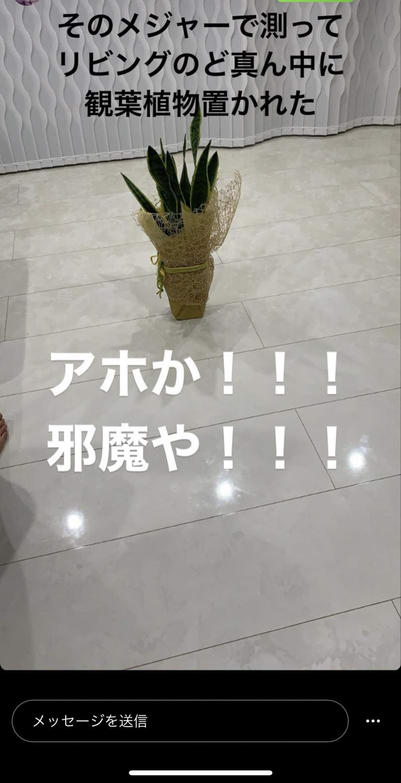 圖片5 圖片5