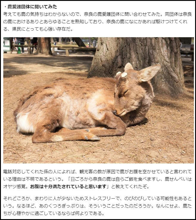 圖片7 圖片7