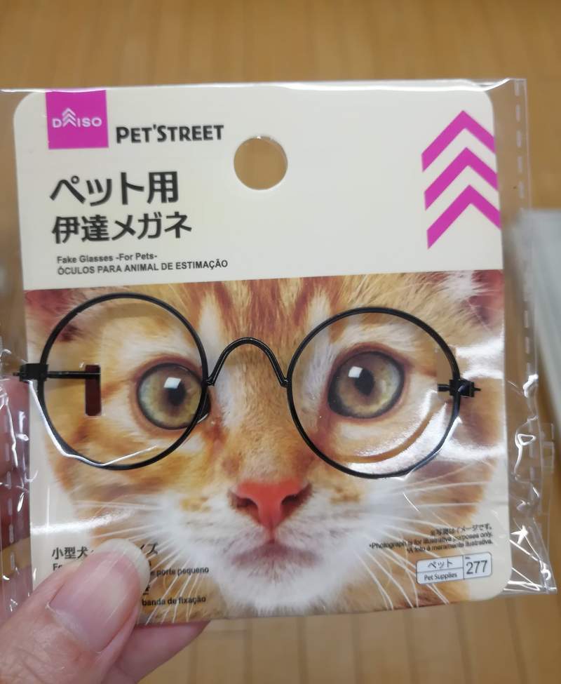 圖片6 圖片6