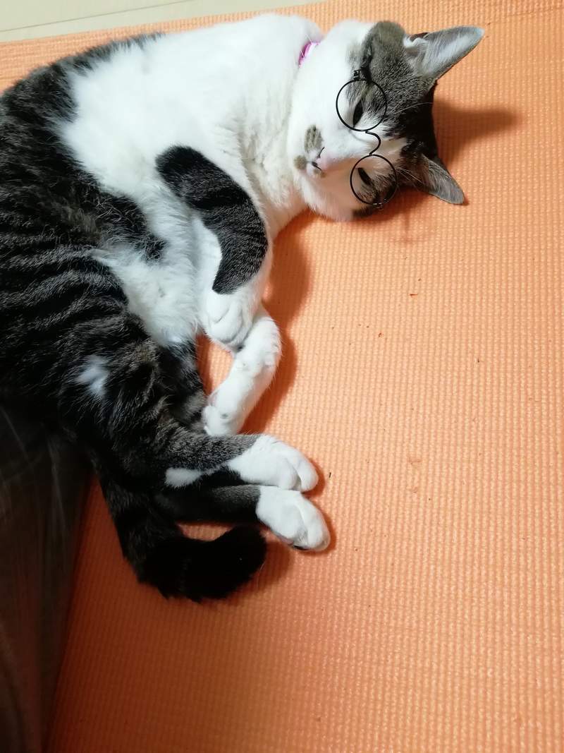 圖片7 圖片7