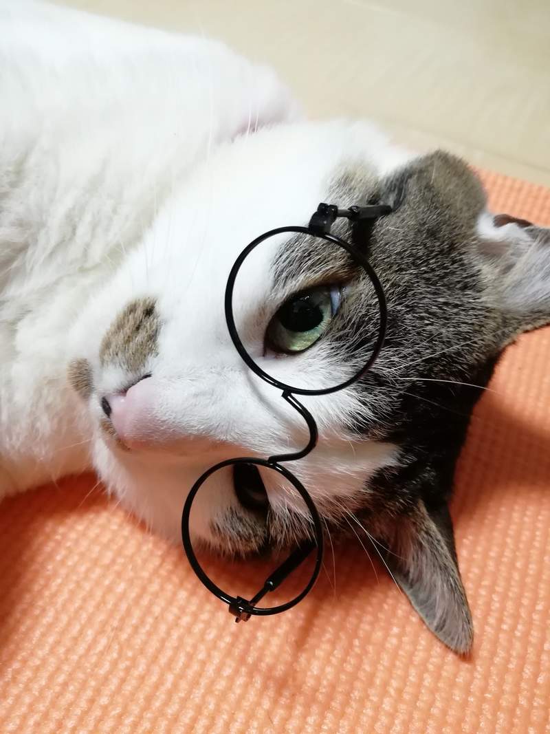 圖片8 圖片8