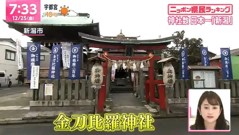 圖片14 圖片14