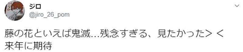 圖片11 圖片11