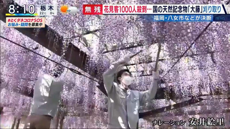 圖片8 圖片8