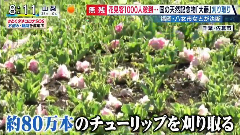 圖片16 圖片16