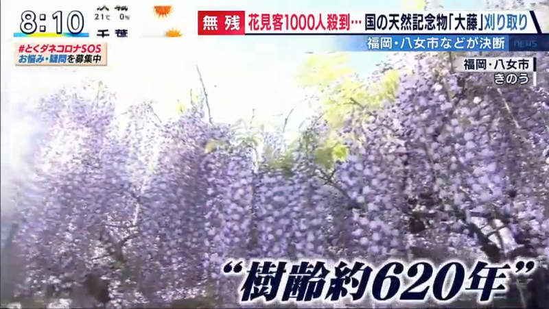 圖片5 圖片5