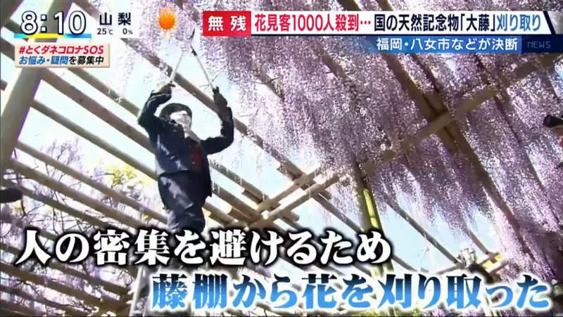 圖片7 圖片7
