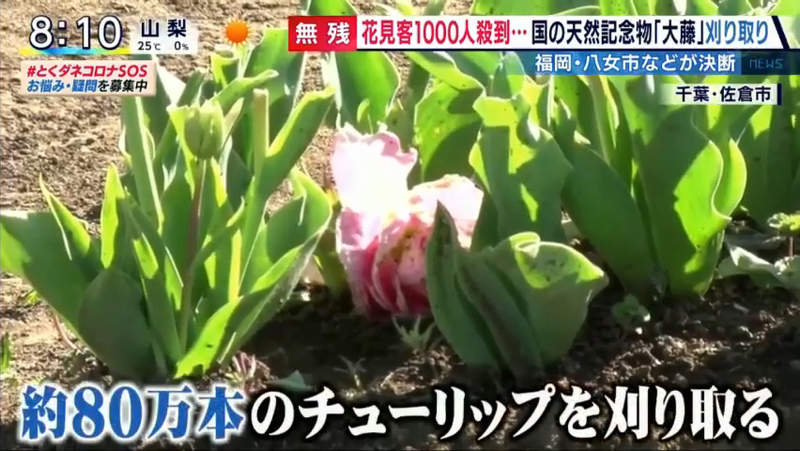 圖片15 圖片15