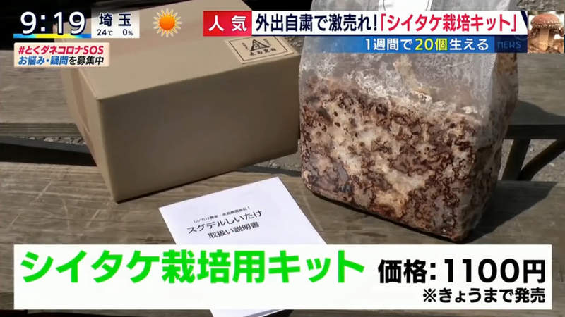 圖片14 圖片14