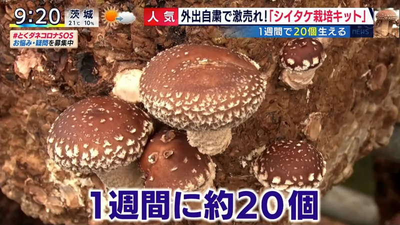 圖片15 圖片15
