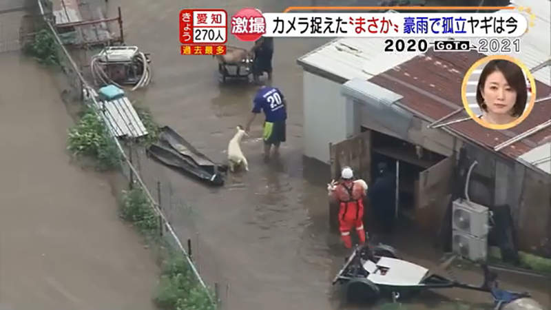 圖片7 圖片7