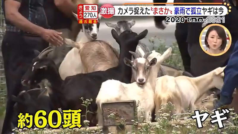 圖片8 圖片8