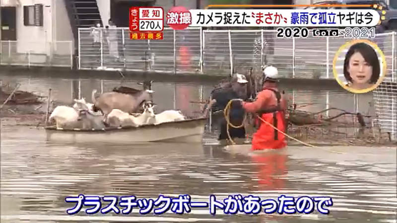 圖片11 圖片11