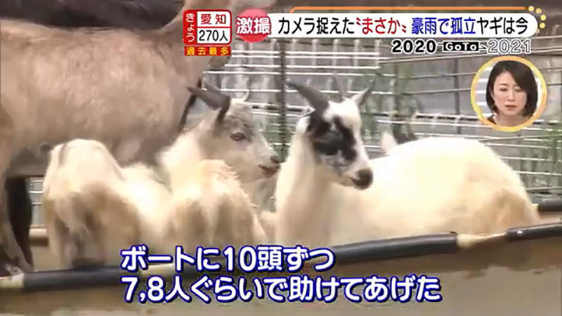 圖片12 圖片12