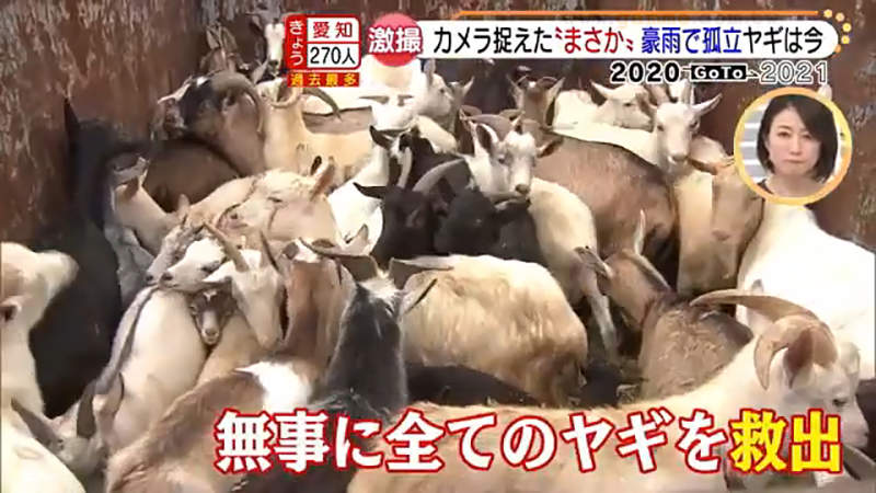 圖片14 圖片14