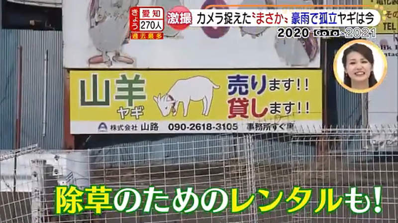 圖片22 圖片22