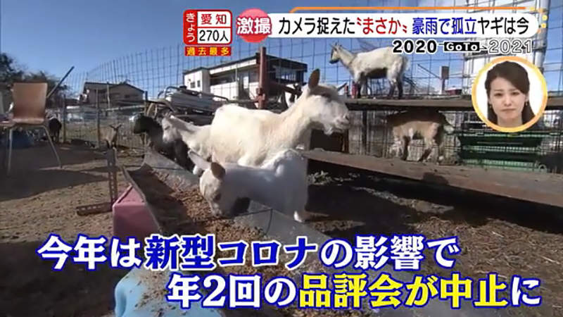 圖片23 圖片23